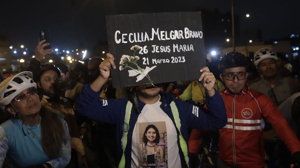 Sunflowers for Cecilia 🌻