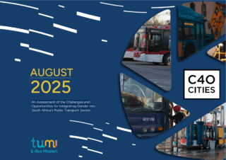 An Assessment of the Challenges and Opportunities for Integrating Gender into South Africa’s Public Transport Sector